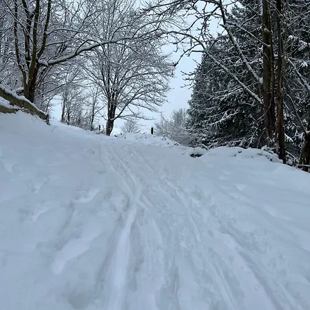 Harz-momente Matthias-schmidt Berg * Sankt Andreasberg